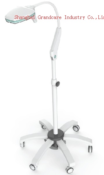 LED Examination Light